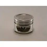 Austral Piston Set - PO1614 040