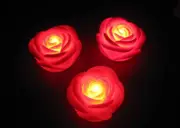 Red Rose string party lights - mains power - 30 bulbs - event decoration