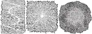Artool Texture Fx 2 Mini Series