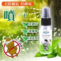 在飛比找PChome24h購物優惠-【草本宣言】艾草淨身噴霧-50ML(艾草抹草精油配方)