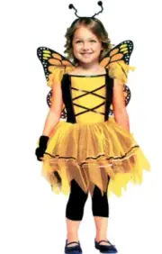 New Ballerina Butterfly Girl's Costume Large 3-4 yrs