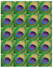 set of 150- 2 inch edible peacock feathers NOT PRE CUT