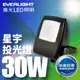 【EVERLIGHT億光】1入組 LED 星宇 30W 全電壓 IP65 投光燈(白光/黃光)