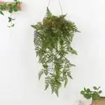 人造蕨類植物 羊齒蕨懸掛植物 植物牆配材塑膠植物