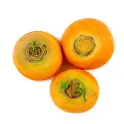 Turnip - Golden Globe seeds