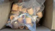 50 PACK TFP BLAZEMASTER 3/4" X 1/2" WEST LITE SHA 80175WL SPRINKLER HEAD ADAPTER