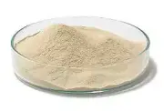Nutrient Agar 100g