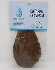Sea Almond Tree Leaves Catappa M - 10 Pieces - Natural Water Conditioner & Dietary Supplement for Freshwater Aquarium Fish Betta, Shrimp, Catfish - Fish Food & Shrimp Food