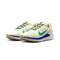 在飛比找蝦皮商城優惠-Nike Winflo 9 Premium 男 藍白綠 慢跑