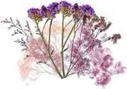 1Set Lovely Dried Flower Kit Natural Dried Flowers for Home Decor Crafts Accessories Unique Floral Material for Scrapbooking Makeup Party Decorations