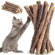 Cat Nip Sticks Dried Wood Polygonum Dental Chew Toy Teeth Cleaning - Best