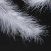 200 Piece Marabou Feathers 12CM-15CM Feathers White Craft Feathers Beautiful