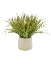 Creative Displays Green Grass Bush