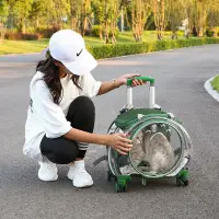 在飛比找樂天市場購物網優惠-寵物推車 寵物手推車 寵物外出 寵物大推車 狗推車 貓推車 