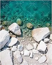 TAOPAOLAB Nature Paint by Numbers Kit for Adults - DIY Clear Shoreline with White Rocks Painting on Canvas 16x20In, Acrylic Paint Set, Suitable for Beginners, Coastal Art for Home Decoration or Gifts