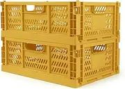 Domiella 2-Pack Crates for Storage, Storage Crates Plastic Stackable, Foldable Crate for Office Home Kitchen Bedroom Bathroom (Large, Golden Yellow)