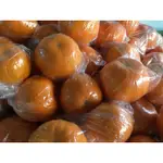 梅山大顆的橘子🍊一件590元10斤