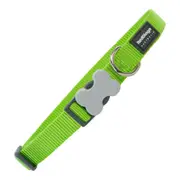 Dog Collar by Red Dingo Smooth Lime 2 x 3147 Cm