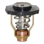 Yamaha 4 Stroke F115 HP 2006-Late Thermostat 6EK-12411-00-00 Outboard Engine