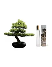 [Vicky Yao] Artificial Juniper Bonsai Tree Ceramic Pot in Green & White Ginger Fragrance