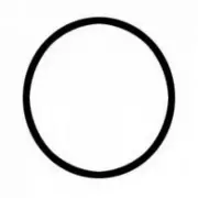 09990 - Presto Pressure Cooker Sealing Ring Gasket