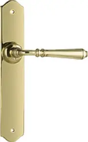 Tradco Reims Lever Door Handle on Long Backplate Polished Brass