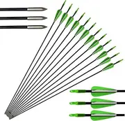 [ZSHJGJR] 12 Pieces 30 Inch Fiberglass Arrow Archery Practice Target Arrows 6mm Fun Game Arrows with Arrow Quiver for Beginner Recurve Compound Bow