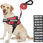 Service Dog Harness, DEWVIE Dog Vest and Leash Set with 10 Patches, Breathable in Training Dog Vest Harness with Soft Handle for Small Medium Large Dogs (RED, Large)