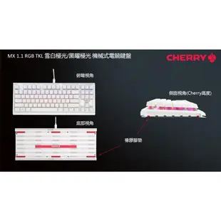 Cherry MX 1.1 RGB TKL 雪白極光 紅軸 黑曜極光 茶軸 黑色 白色 機械式鍵盤 電競鍵盤 易飛電腦
