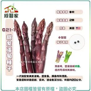 【綠藝家】C21-1.甜紫蘆筍種子2顆