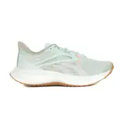 Reebok Women's Floatride Energy 5 Grey/White Running Shoes 100074861