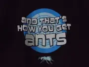 TeeFury Ant Man MEDIUM "And That's How You Get Ants" Parody Shirt BLACK