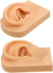 Beaupretty 1Set Realistic Silicone Ear Model for Jewelry Display and Piercing Practice Durable Fake Human Ear Platform for Training for Ear Cleaning Exercises and Observation