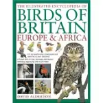 THE ILLUSTRATED ENCYCLOPEDIA OF BIRDS OF BRITAIN, EUROPE & AFRICA