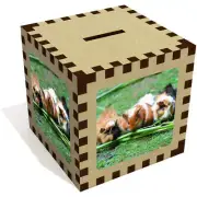 'Guinea Pigs' Money Box / Piggy Bank (MB00006559)