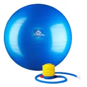 Professional Grade Stability Ball - Pro Series 1000lbs Anti-burst 2000lbs Static