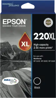 Epson 220 XL DURAbrite Ultra Black Ink