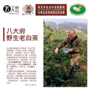 【茗太祖】茗太祖+八大府 明前高級白牡丹 50年老欉 野生高山白茶 片型隨手包20包裝(5g/片)