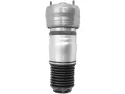 Unity 45PV25G Front Left Air Spring Fits 2014-2016 Porsche Panamera (for: Porsche)