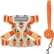 IUOUTG Extra Small Dog Harness and Leash Set Cat Lightweight Collar Vest, 2 Metal Rings & 4 Adjustable Buckles No Pull Pet Vest