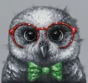 New Owl w Glasses Canvas Print Art Painting Wall Home Decor 50x50cm