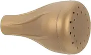 BESPORTBLE Water Can Sprinkler Caps Easy to Install Watering Can Sprinkler Head Gadget for Outdoor Plants