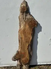 E5 Spalted Maple Burl Live Edge Slab Woodwork Crafting Epoxy Project 37x11x1
