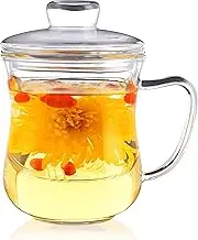 CNGLASS Glass Tea Cup with Removable Infuser and Lid,10oz(300ml) Thickened Glass Tea Mug,Clear Filtrating Teapot Tea Maker