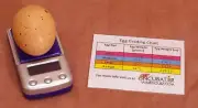 Digital Egg Scale, Incubator Scale, Measure Humidity, Poultry-Chicken-Quail-Duck