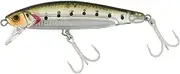 Jackall Big Backer Anchopede 84