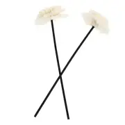 2 Pcs Passive Diffusers for Essential Oils Aromatherapy Stick