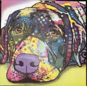 Labrador Picture Canvas Great Condition Fast Shipping