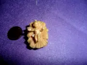 Vintage Plastic Baby Jesus in Manger - stamped Italy