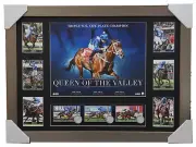 WINX OFFICIAL TRIPLE COX PLATE CHAMPION DELUXE PRINT FRAMED HORSE RACING BOWMAN